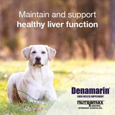 Show full view: Nutramax Denamarin with S-Adenosylmethionine & Silybin Chewable Tablets Liver Supplement for Dogs, 75 count slide 6 of 13