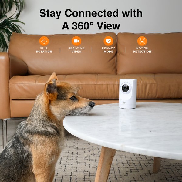 Show full view: INSTACHEW Purrsight 360 Degree Wi-Fi Security Cat & Dog Pet Camera, White slide 2 of 10