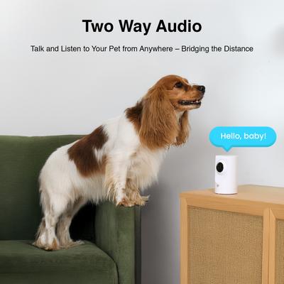 Show full view: INSTACHEW Purrsight 360 Degree Wi-Fi Security Cat & Dog Pet Camera, White slide 4 of 10