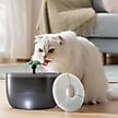 Show in main carousel: Casfuy W8 & W7 Pet Water Fountain Replacement Filters & Sponges, White, 4 count slide 7 of 7