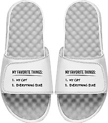 ISlide Favorite Things List Slides, Great White, W14 / M13