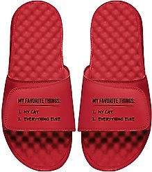 ISlide Favorite Things List Slides, Red, W10 / M9