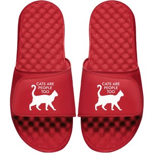 ISlide I Like Cats More Than People Slides