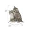 Show in main carousel: Hi-Line Gift Hugging Kittens Statue, 6.77-in, Gray slide 7 of 8