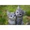 Show in main carousel: Hi-Line Gift Hugging Kittens Statue, 6.77-in, Gray slide 6 of 8