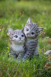 Hi-Line Gift Hugging Kittens Statue, 6.77-in, Gray slide 1 of 7