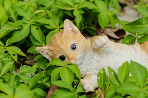 Show full view: Hi-Line Gift Laying Down Cat Statue, Orange & White, 3.15-in slide 6 of 7