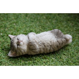 Hi-Line Gift Sleeping Cat Statue, 2.5-in, Gray