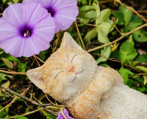 Show full view: Hi-Line Gift Sleeping Cat Statue, 2.5-in, Orange slide 6 of 8