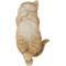 Show in main carousel: Hi-Line Gift Sleeping Cat Statue, 2.5-in, Orange slide 2 of 8