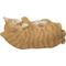 Show in main carousel: Hi-Line Gift Sleeping Couple Cat Statue, 3-in, Orange slide 5 of 8