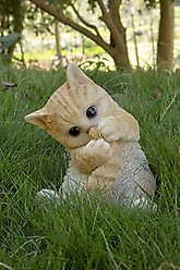 Hi-Line Gift Kitten Playing with Tail, Orange & White, 7-in