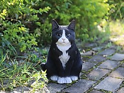 Hi-Line Gift Sitting Cat Statue, 11.5-in, Black & White
