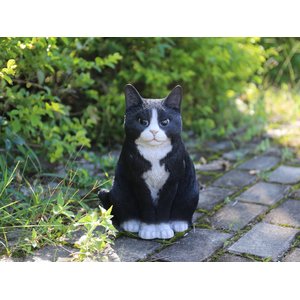 Hi-Line Gift Sitting Cat Statue, 11.5-in, Black & White