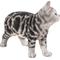 Show in main carousel: Hi-Line Gift Standing American Shorthair Cat Statue, Black & Gray, 11.5-in slide 5 of 5