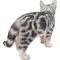 Show in main carousel: Hi-Line Gift Standing American Shorthair Cat Statue, Black & Gray, 11.5-in slide 4 of 5