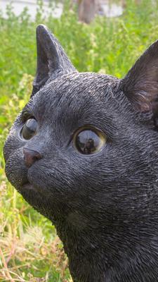 Show full view: Hi-Line Gift Walking & Looking Left Cat Statue, Black, 11.42-in slide 6 of 7