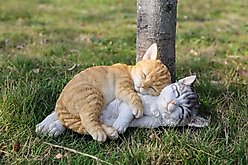 Hi-Line Gift Sleeping Tabby Cats Statue, Orange & Gray, 4.92-in