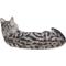 Show in main carousel: Hi-Line Gift American Shorthair Lying Down Cat Statue, Black & White, 8-in slide 5 of 5