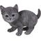 Show in main carousel: Hi-Line Gift Russian Blue Kitten Statue, 5.75-in slide 1 of 5