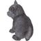 Show in main carousel: Hi-Line Gift Russian Blue Kitten Statue, 5.75-in slide 3 of 5