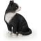 Show in main carousel: Hi-Line Gift Looking Back Cat Statue, 10.35-in, Black & White slide 5 of 7