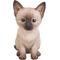 Show in main carousel: Hi-Line Gift Siamese Kitten Statue, Brown & Tan, 7.5-in slide 1 of 4