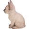 Show in main carousel: Hi-Line Gift Siamese Kitten Statue, Brown & Tan, 7.5-in slide 2 of 4