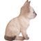 Show in main carousel: Hi-Line Gift Siamese Kitten Statue, Brown & Tan, 7.5-in slide 3 of 4
