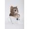 Show in main carousel: Hi-Line Gift Teacup Kitten Statue, 5.75-in, Gray & White slide 7 of 8