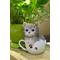 Show in main carousel: Hi-Line Gift Teacup Kitten Statue, 5.75-in, Gray & White slide 1 of 8
