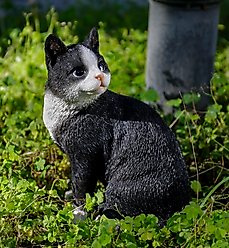 Hi-Line Gift Looking Back Cat Statue, 10.35-in, Black & White slide 1 of 7