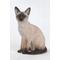 Show in main carousel: Hi-Line Gift Sitting Siamese Cat Statue, Black & Gray, 13.5-in slide 1 of 4