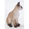 Show in main carousel: Hi-Line Gift Sitting Siamese Cat Statue, Black & Gray, 13.5-in slide 3 of 4