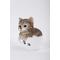 Show in main carousel: Hi-Line Gift Teacup Kitten Statue, 5.75-in, Gray & White slide 3 of 8