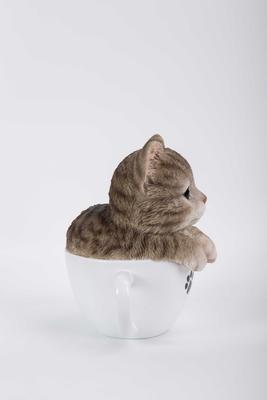 Show full view: Hi-Line Gift Teacup Kitten Statue, 5.75-in, Gray & White slide 6 of 8