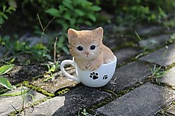 Hi-Line Gift Teacup Kitten Statue, 5.75-in, Orange & White