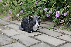 Hi-Line Gift Sleeping Cat Statue, Black & White, 5-in