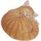 Show in main carousel: Hi-Line Gift Sleeping Cat Statue, Orange & Tan, 4.45-in slide 3 of 9