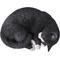 Show in main carousel: Hi-Line Gift Sleeping Cat Statue, Black & White, 4.45-in slide 4 of 9