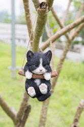 Hi-Line Gift Hanging Kitten Statue, 5.5-in, Black & White