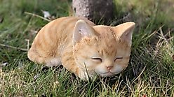 Hi-Line Gift Sleeping Kitten Statue, 3.15-in, Orange