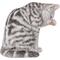 Show in main carousel: Hi-Line Gift American Shorthair Tabby Washing Cat Statue, 10.25-in, Gray slide 4 of 7