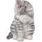 Show in main carousel: Hi-Line Gift American Shorthair Tabby Washing Cat Statue, 10.25-in, Gray slide 2 of 7