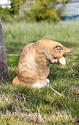 Hi-Line Gift American Shorthair Tabby Washing Cat Statue, 10.25-in, Orange