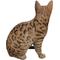 Show in main carousel: Hi-Line Gift Sitting Bengal Cat Statue, 9.45-in slide 4 of 7