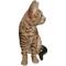 Show in main carousel: Hi-Line Gift Sitting Bengal Cat Statue, 9.45-in slide 3 of 7