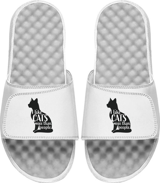 ISlide Cats Are People Too Slides