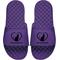 Show in main carousel: ISlide Best Cat Mom Slides, Purple, W14 / M13 slide 1 of 1