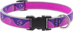 LupinePet Paws Nylon Reflective Dog Collar, Pink, Medium: 13 to 22-in neck, 3/4-in wide
